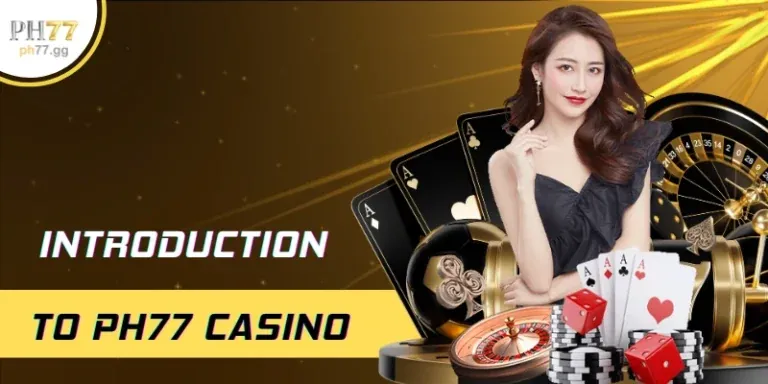 Ưu đãi hàng ngày và chương trình VIP